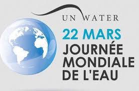 La journée mondiale de l'eau