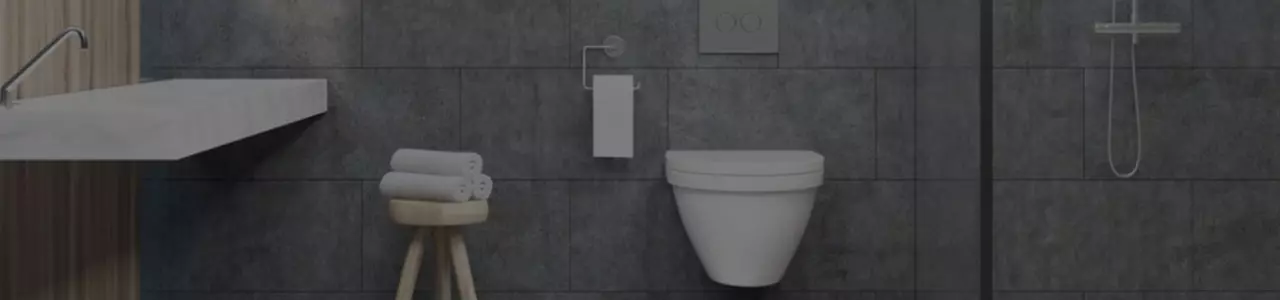 Accessoires de salle de bain - Porte-rouleau porte-brosse WC en acier